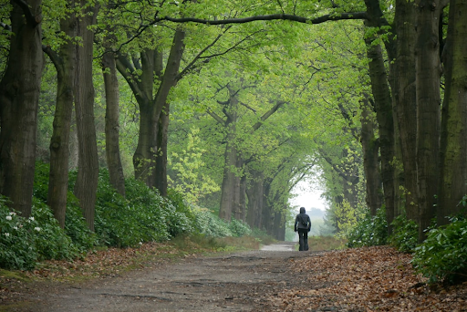 LANDELIJK β Exclusief wonen in Overijssel: een van de mooiste provincies van Nederland