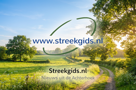ACHTERHOEK — Is 2026 een slecht wespenjaar?