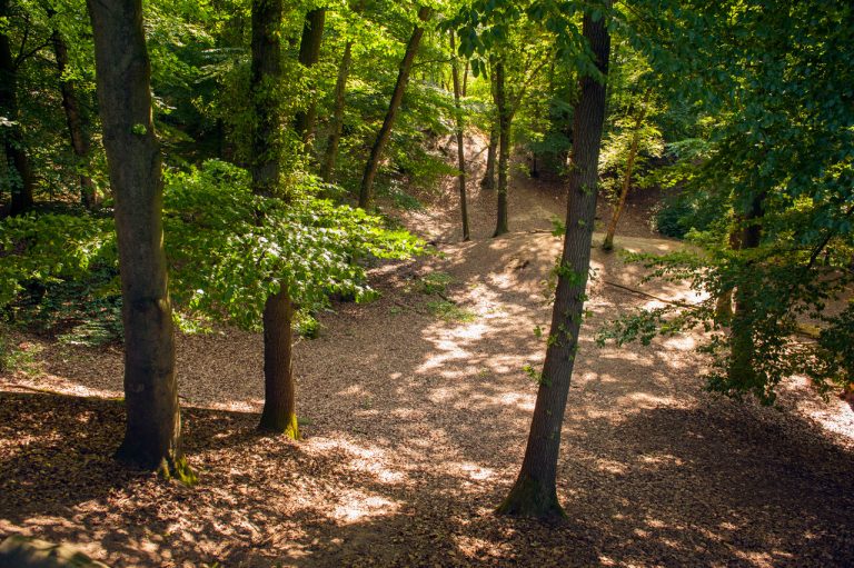 LOCHEM β Zomerwandeling over de Lochemse Berg met boswachter